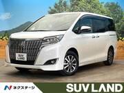 2019 TOYOTA ESQUIRE Gi