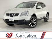 2011 NISSAN DUALIS