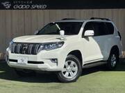 2019 TOYOTA LAND CRUISER PRADO TX