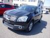 NISSAN DUALIS