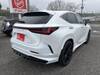 LEXUS OTHER