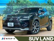 2015 LEXUS NX