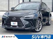 2022 LEXUS NX