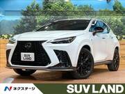 2022 LEXUS NX