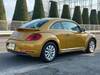 VOLKSWAGEN THE BEETLE