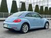 VOLKSWAGEN THE BEETLE