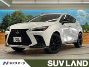 2022 LEXUS NX