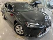2021 LEXUS UX