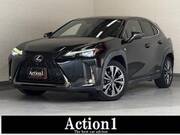 2019 LEXUS UX