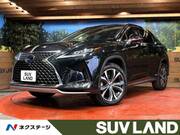2021 LEXUS RX