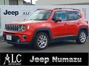 2019 CHRYSLER JEEP RENEGADE