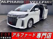 2019 TOYOTA ALPHARD 2.5S