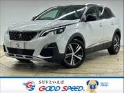 2019 PEUGEOT 3008