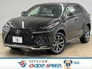 2020 LEXUS NX