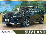 2018 LEXUS NX