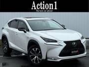 2015 LEXUS NX