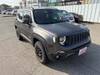 CHRYSLER JEEP RENEGADE
