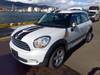 ROVER MINI