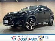 2018 LEXUS NX
