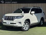 2019 TOYOTA LAND CRUISER PRADO TX