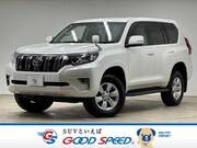 2019 TOYOTA LAND CRUISER PRADO