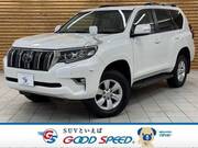 2019 TOYOTA LAND CRUISER PRADO