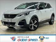 2019 PEUGEOT 3008