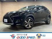 2018 LEXUS NX