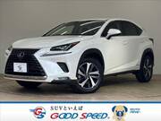 2018 LEXUS NX