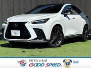 2022 LEXUS NX