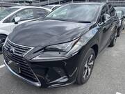 2020 LEXUS NX