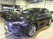 2022 LEXUS NX
