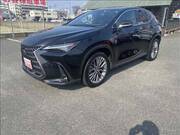 2022 LEXUS NX