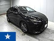 2022 LEXUS NX