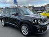 CHRYSLER JEEP RENEGADE