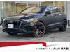 AUDI OTHER