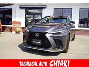 2023 LEXUS NX