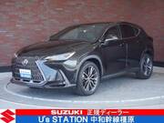 2022 LEXUS NX