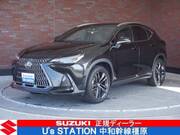 2022 LEXUS NX