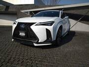 2021 LEXUS UX