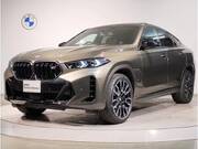 2023 BMW X6