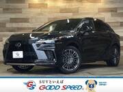 2024 LEXUS RX