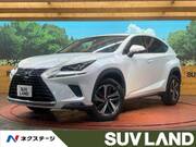 2018 LEXUS NX
