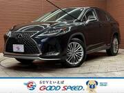 2019 LEXUS RX
