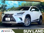 2021 LEXUS NX