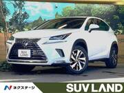 2018 LEXUS NX