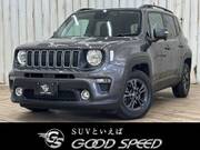 2020 CHRYSLER JEEP RENEGADE