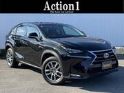 2014 LEXUS NX