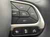 CHRYSLER JEEP COMPASS