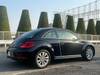 VOLKSWAGEN THE BEETLE
